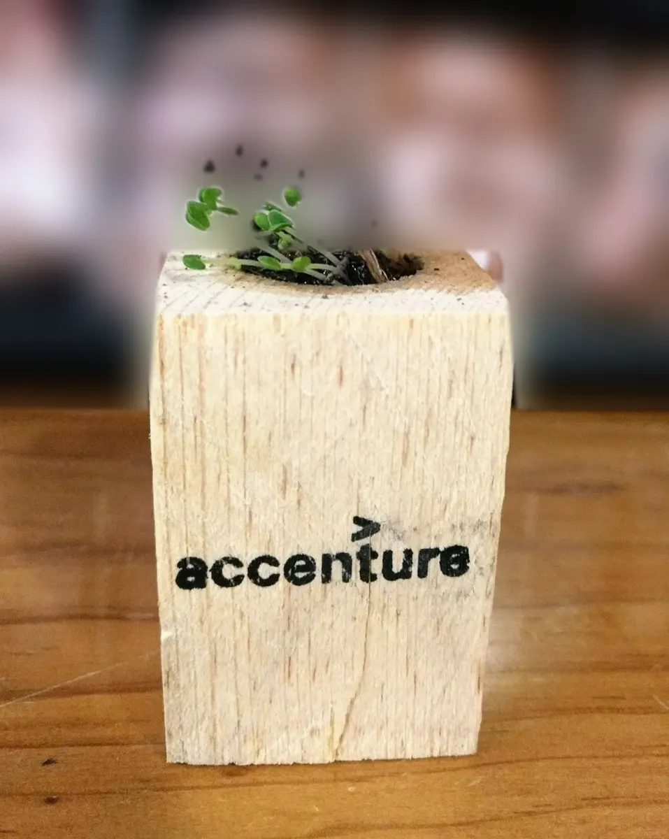 2018 · Accenture México · creciendo